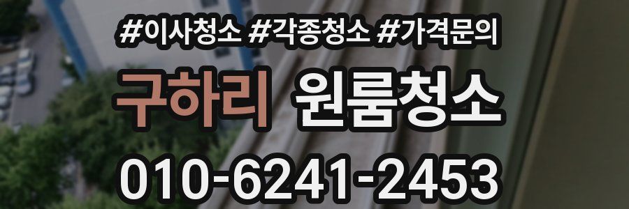 구하리 이사청소