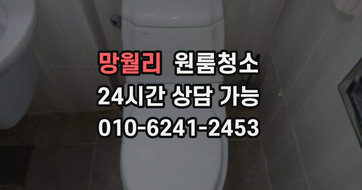 망월리 입주청소