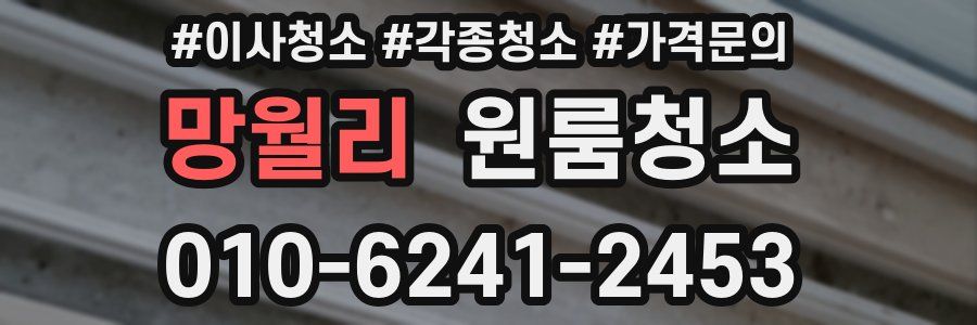 망월리 이사청소