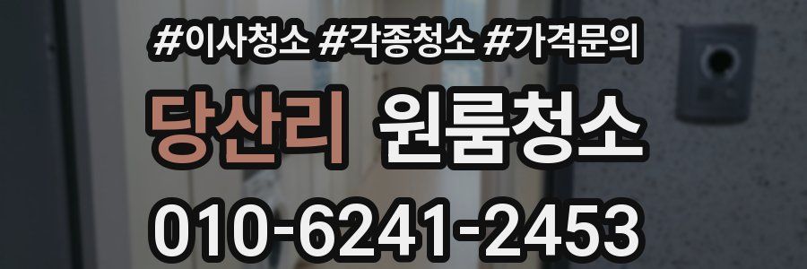 당산리 이사청소