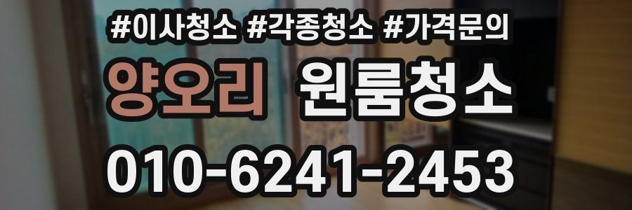 양오리 이사청소