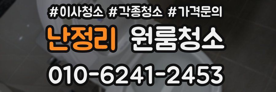 난정리 이사청소