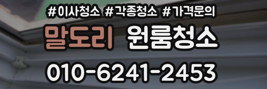 말도리 이사청소