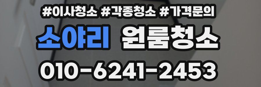 소야리 이사청소