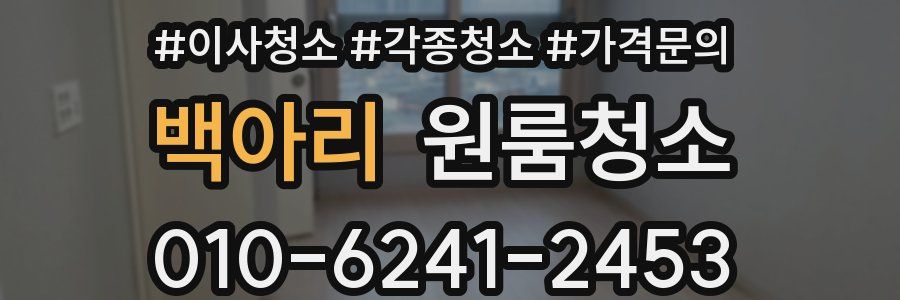 백아리 이사청소