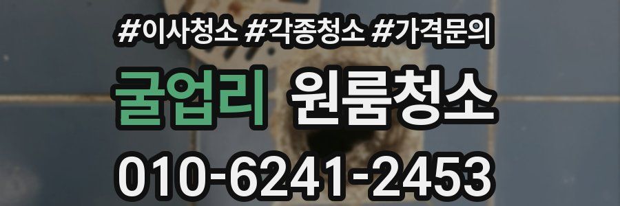 굴업리 이사청소