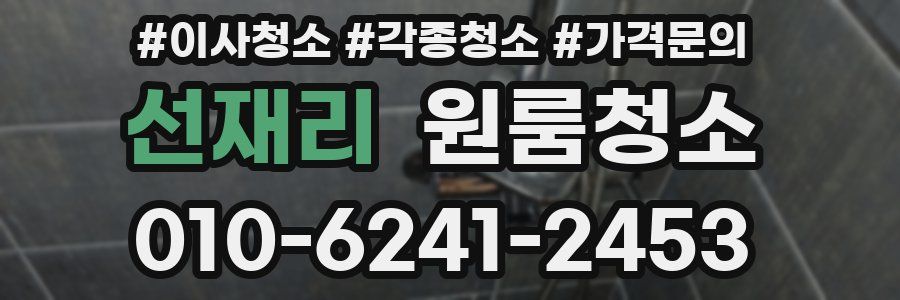 선재리 이사청소