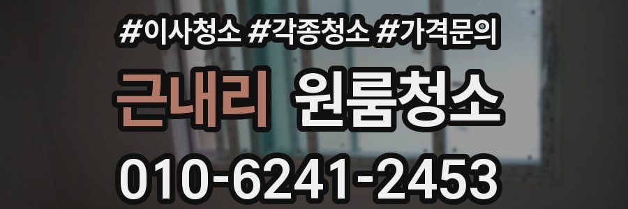 근내리 이사청소