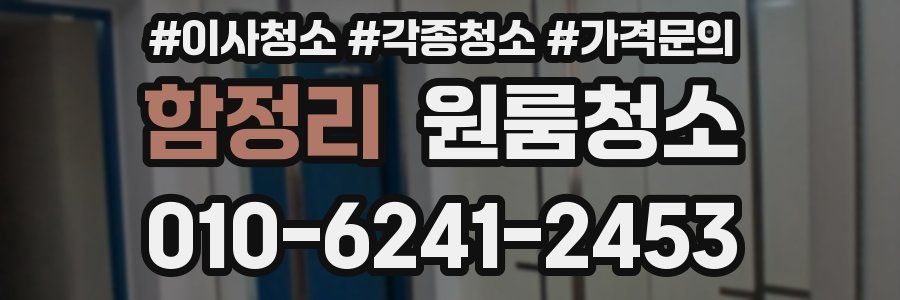 함정리 이사청소