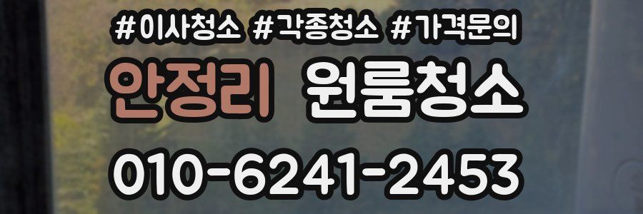 안정리 이사청소