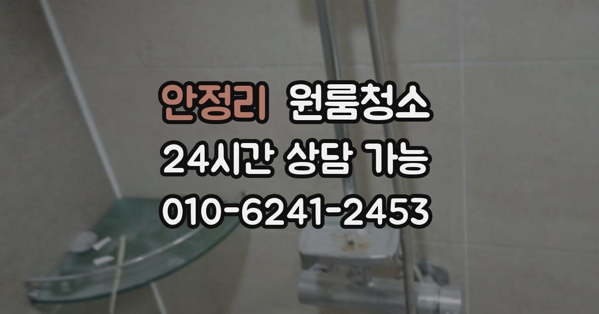 안정리 입주청소