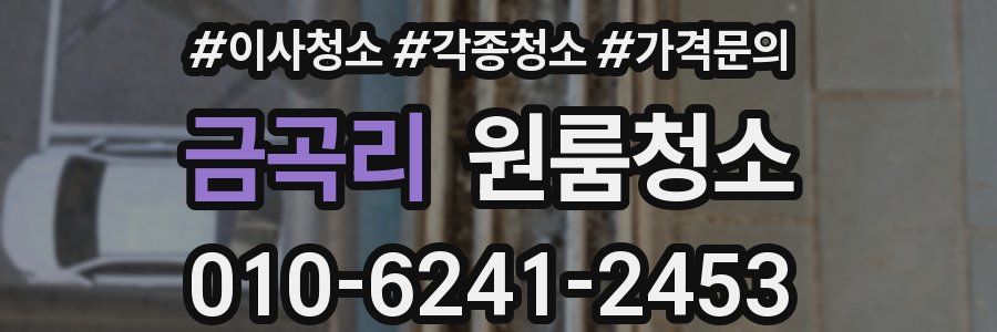 금곡리 이사청소