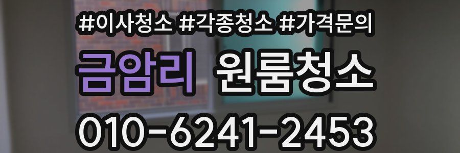 금암리 이사청소