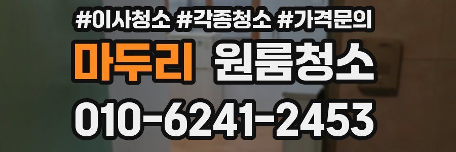 마두리 이사청소