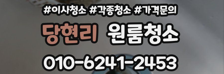 당현리 이사청소