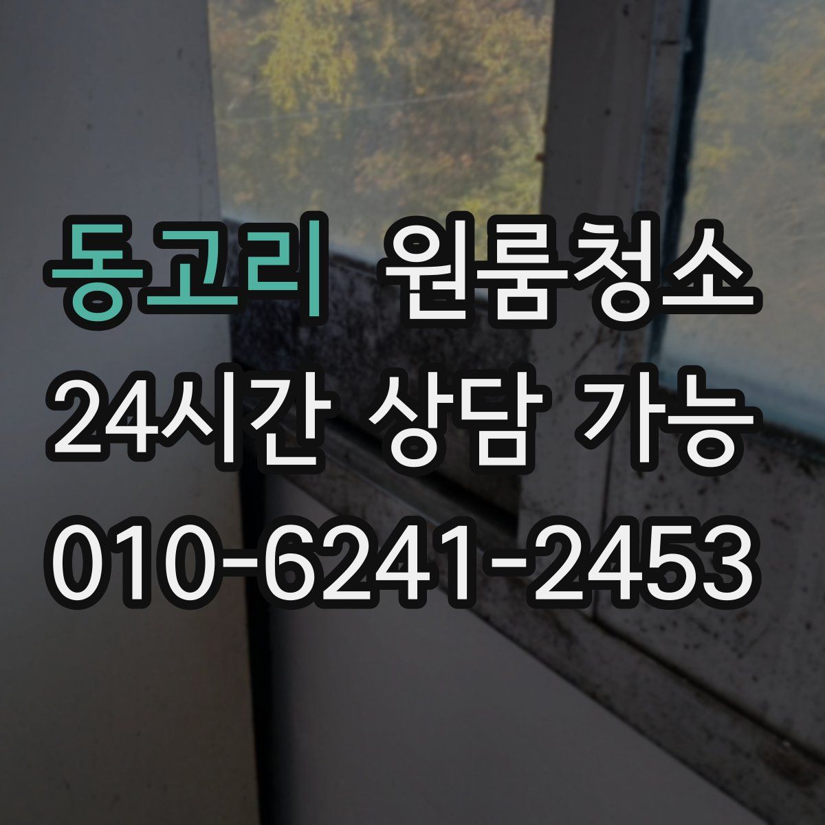 동고리 원룸청소