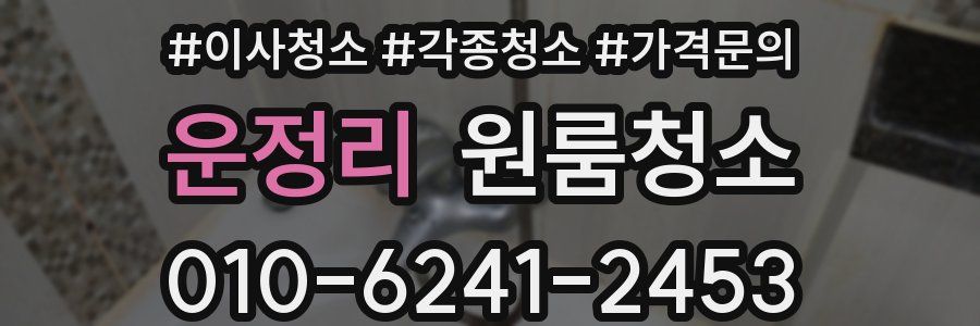 운정리 이사청소