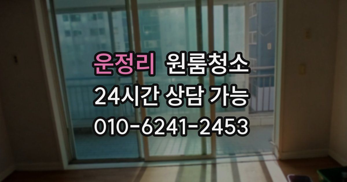 운정리 입주청소