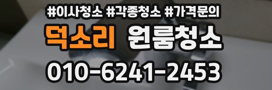 덕소리 이사청소