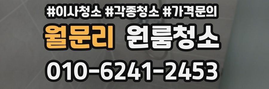 월문리 이사청소