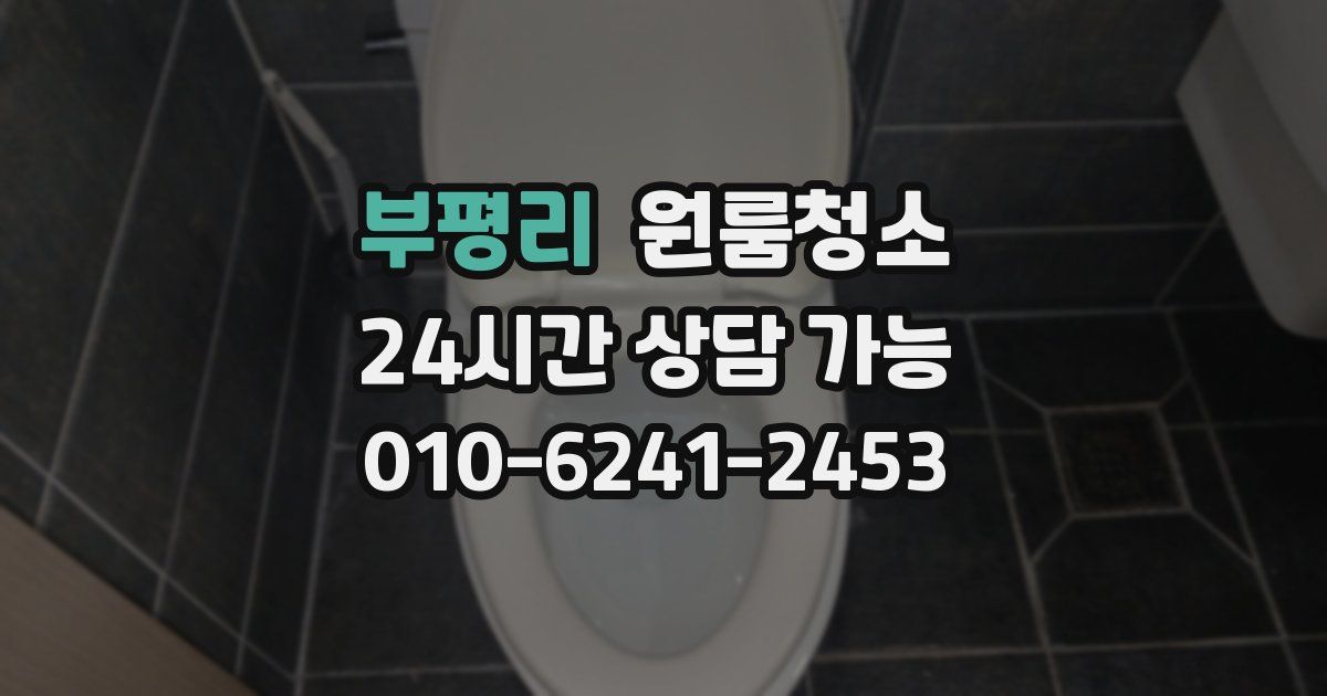 부평리 입주청소