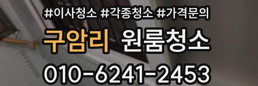 구암리 이사청소