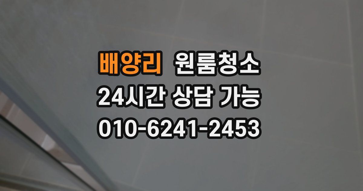 배양리 입주청소