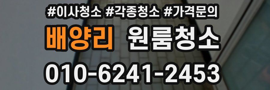 배양리 이사청소