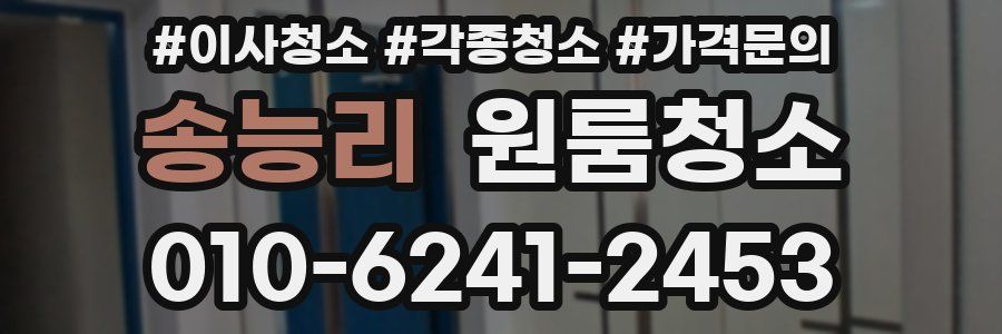 송능리 이사청소