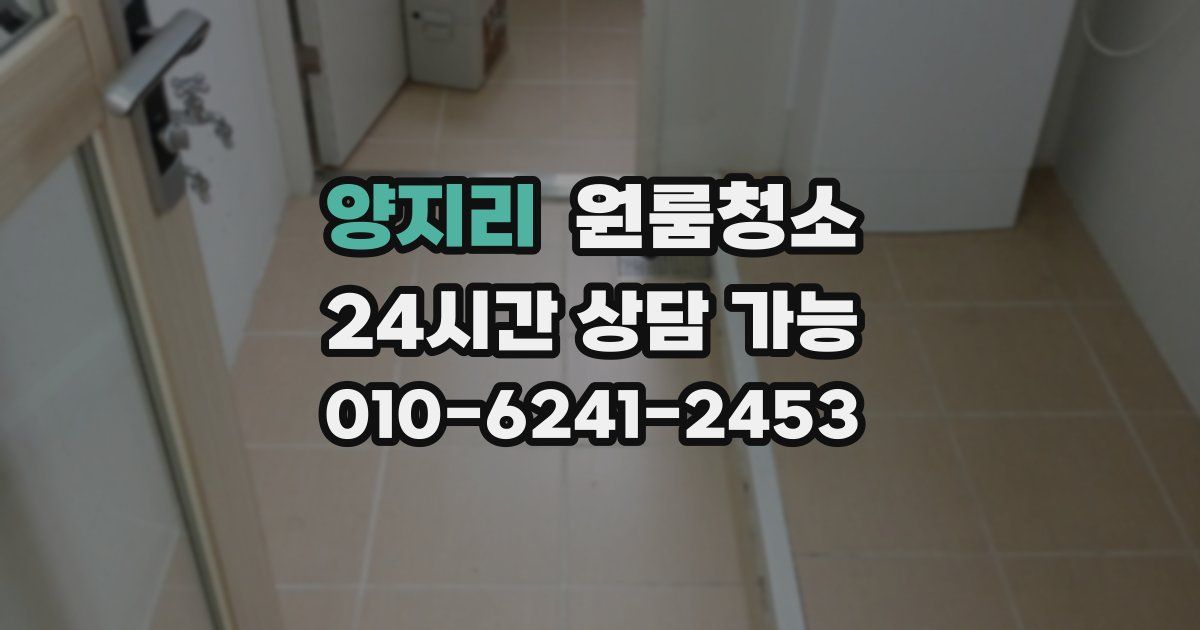 양지리 입주청소