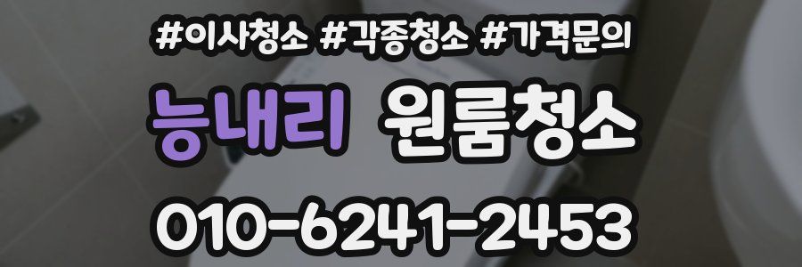 능내리 이사청소