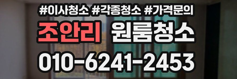 조안리 이사청소