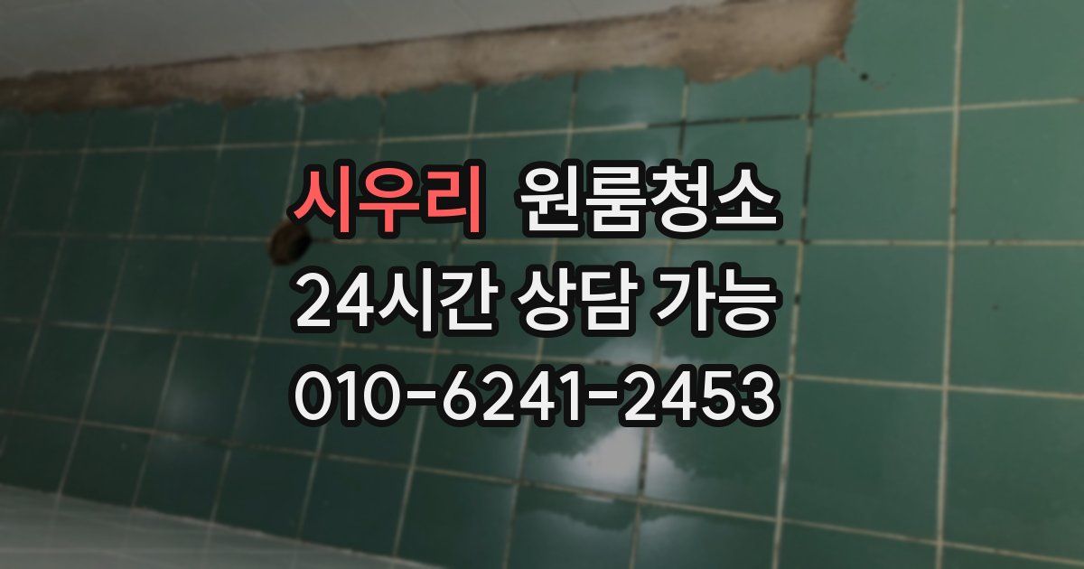 시우리 입주청소