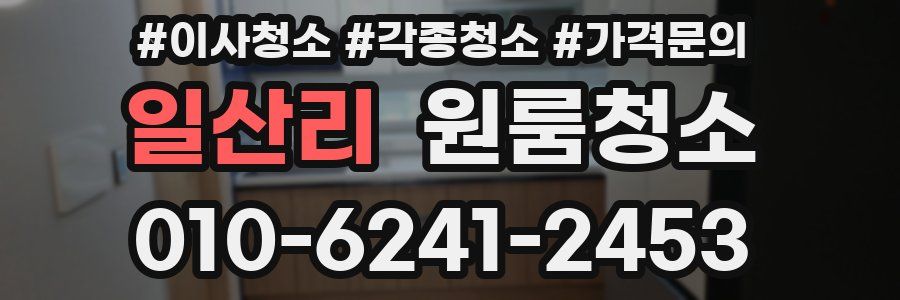 일산리 이사청소