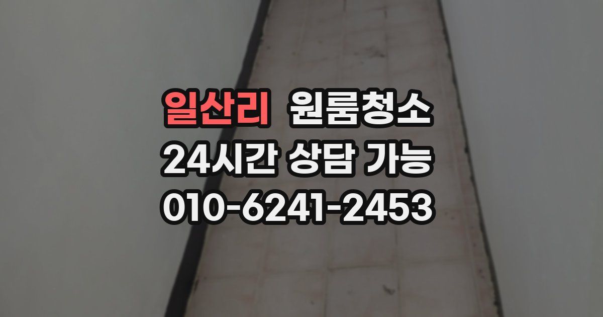 일산리 입주청소