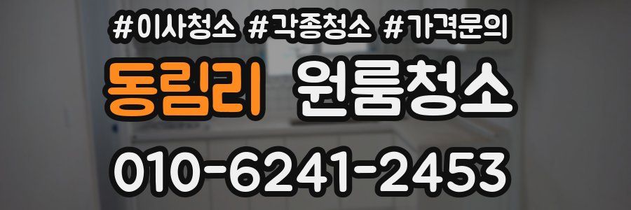 동림리 이사청소