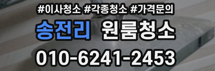 송전리 이사청소