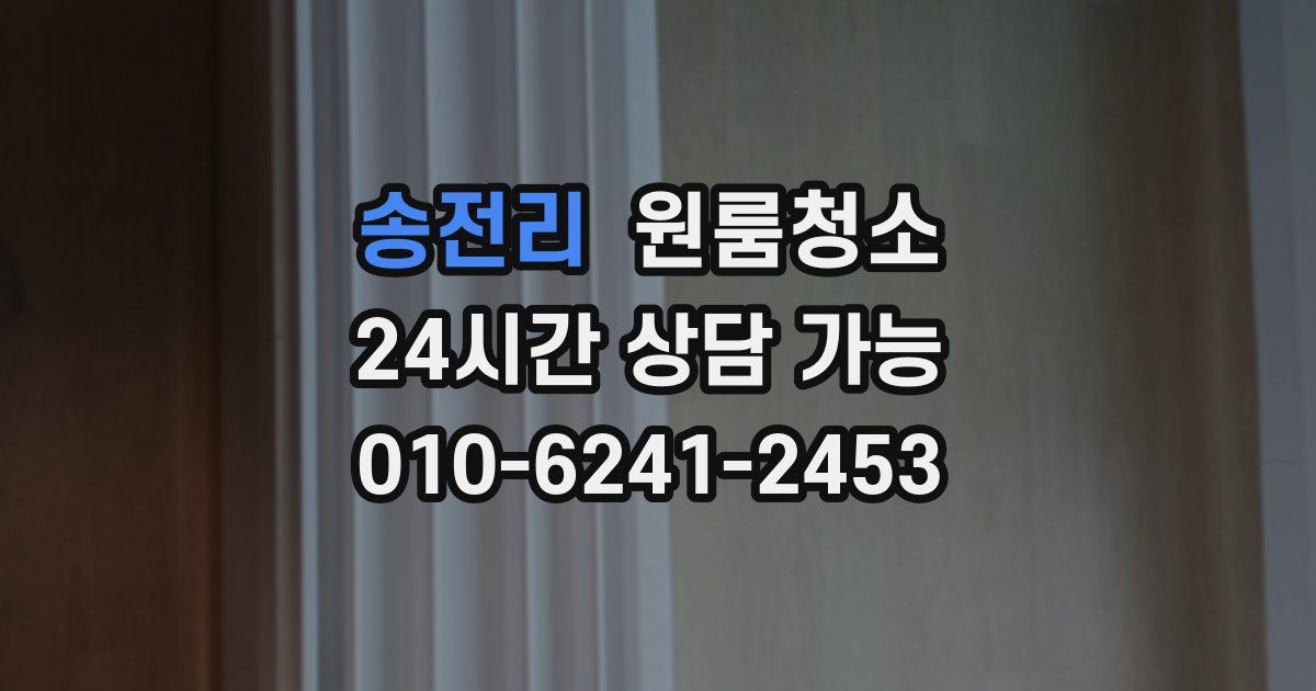 송전리 입주청소