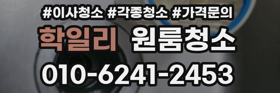 학일리 이사청소