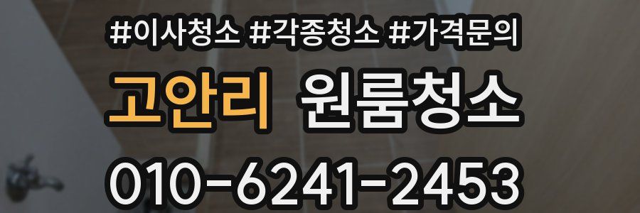 고안리 이사청소