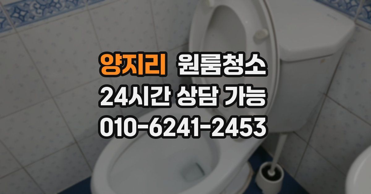 양지리 입주청소