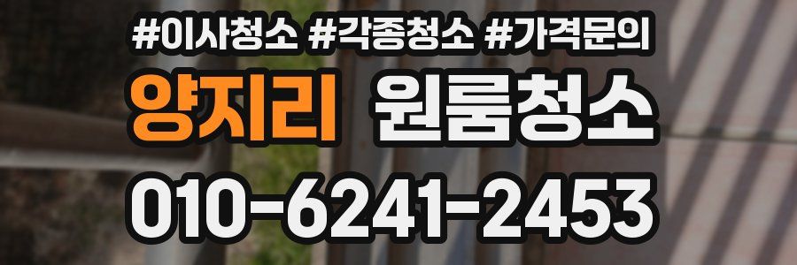 양지리 이사청소