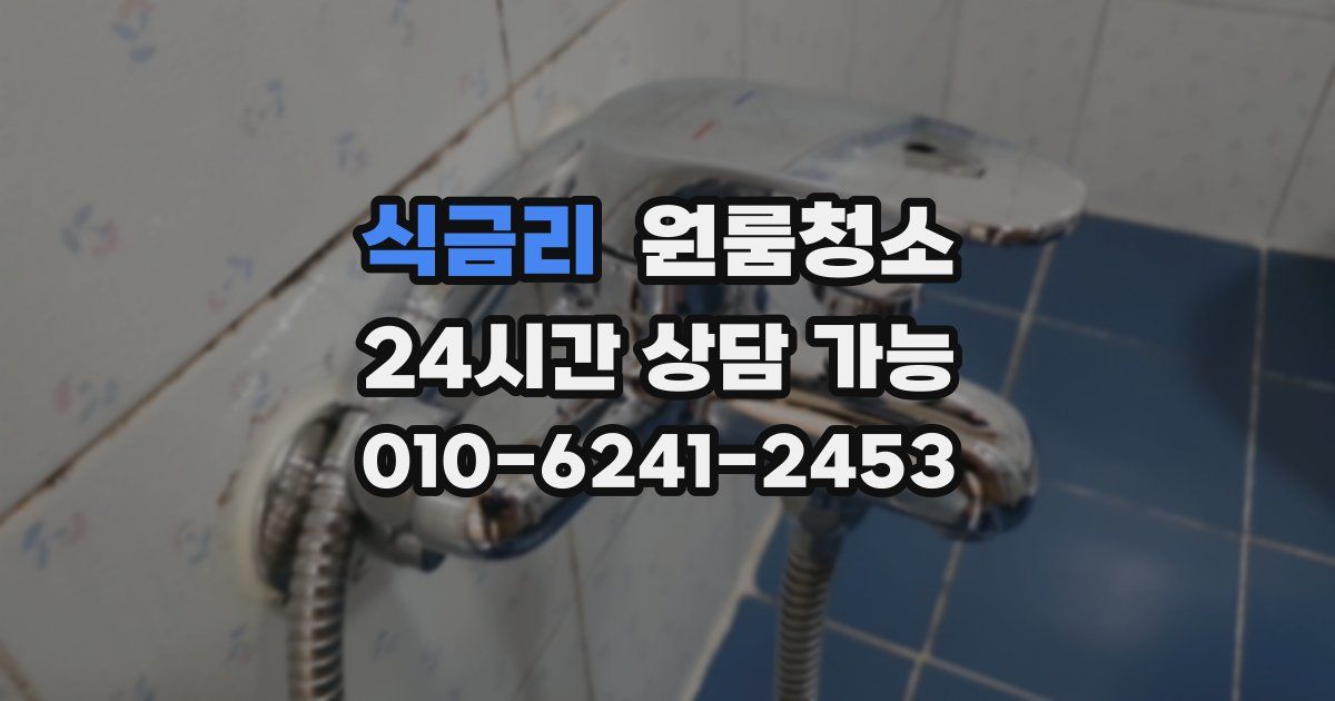 식금리 입주청소