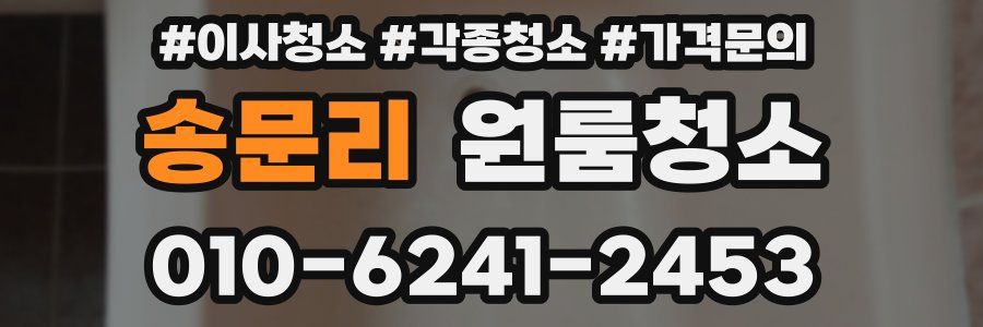 송문리 이사청소