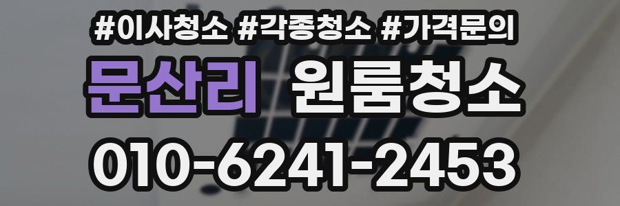 문산리 이사청소