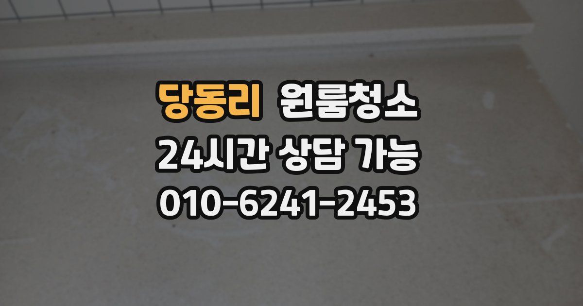 당동리 입주청소