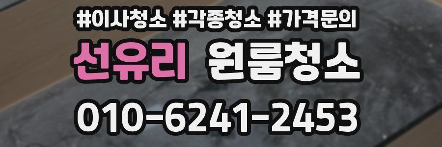 선유리 이사청소