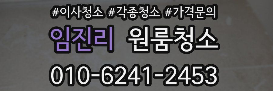 임진리 이사청소