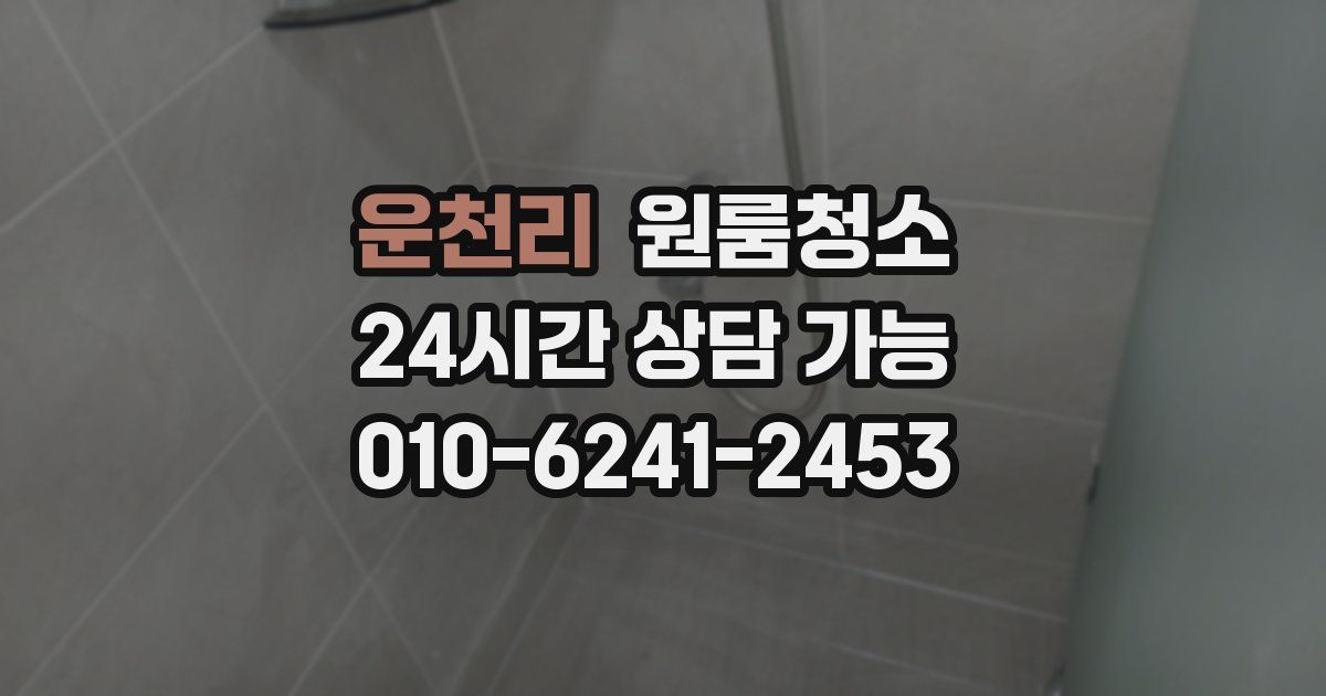 운천리 입주청소