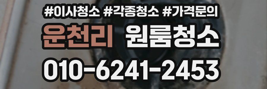 운천리 이사청소